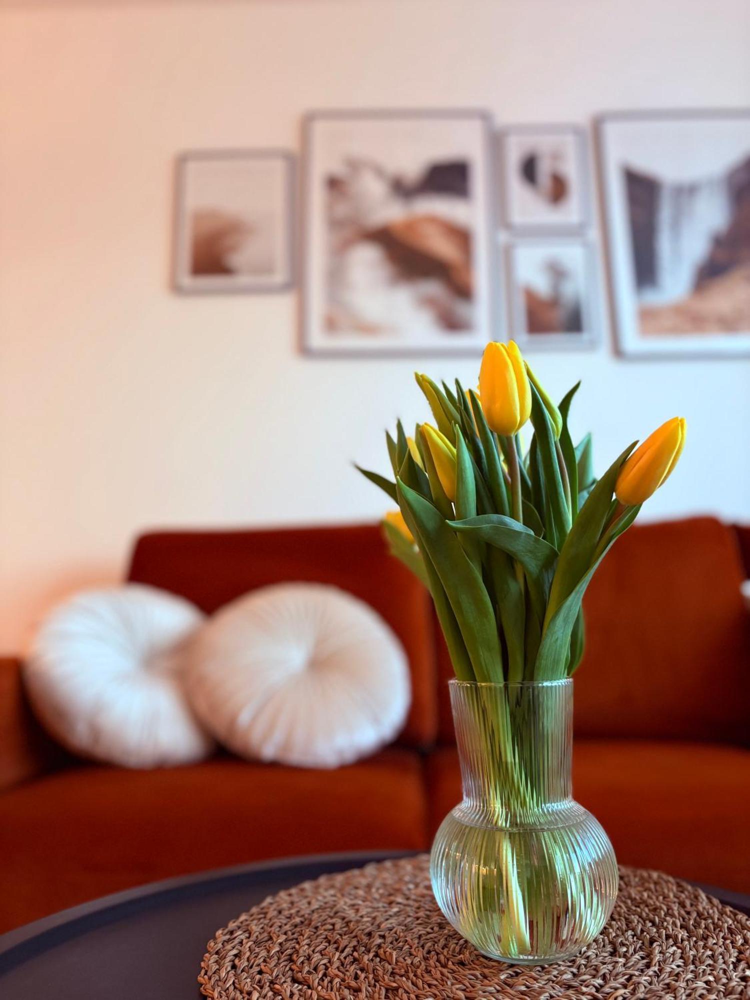 Appartement Nowy Biezanow Krakau